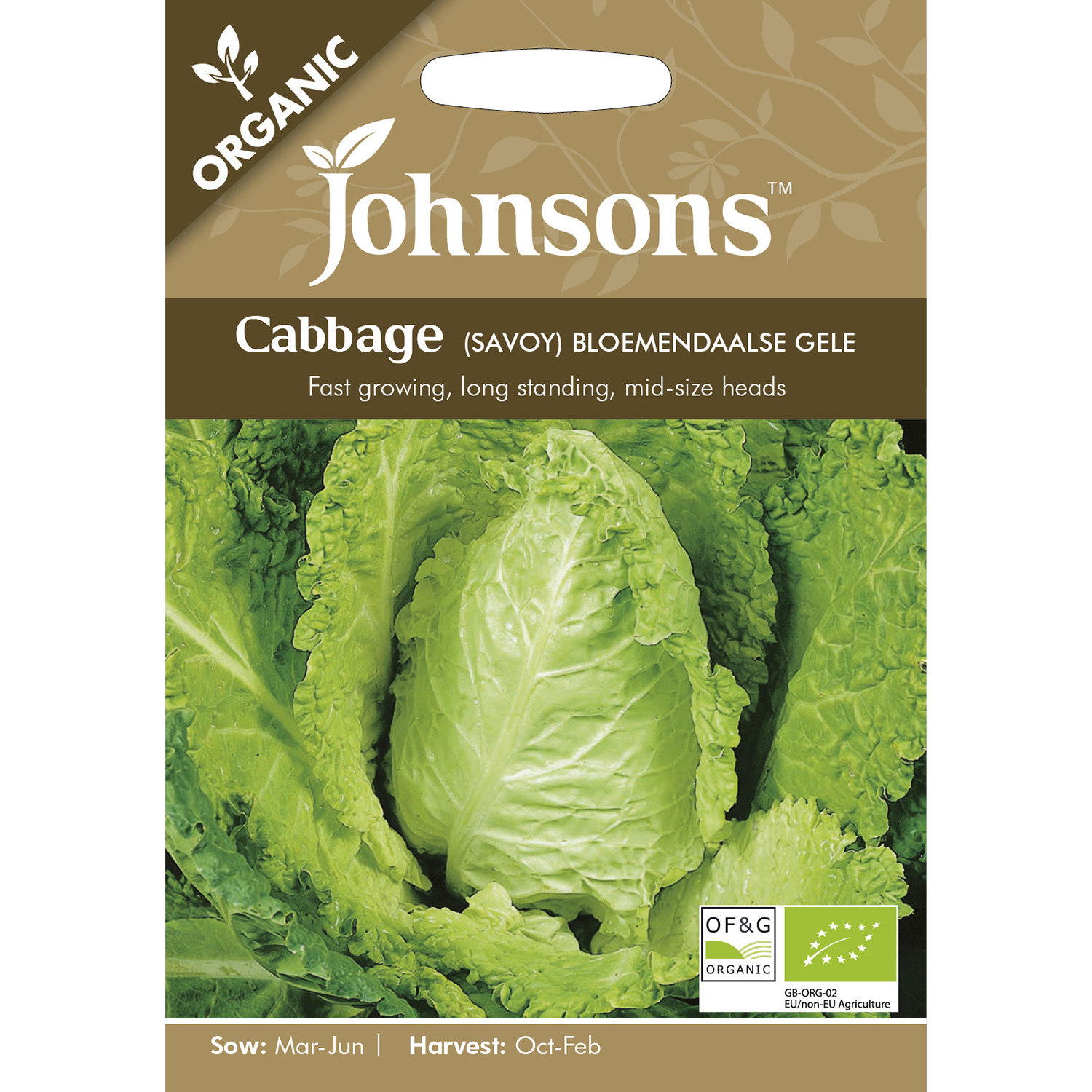 Johnsons Organic Savoy Bloemendaalse Gele Cabbage Seeds Image 2