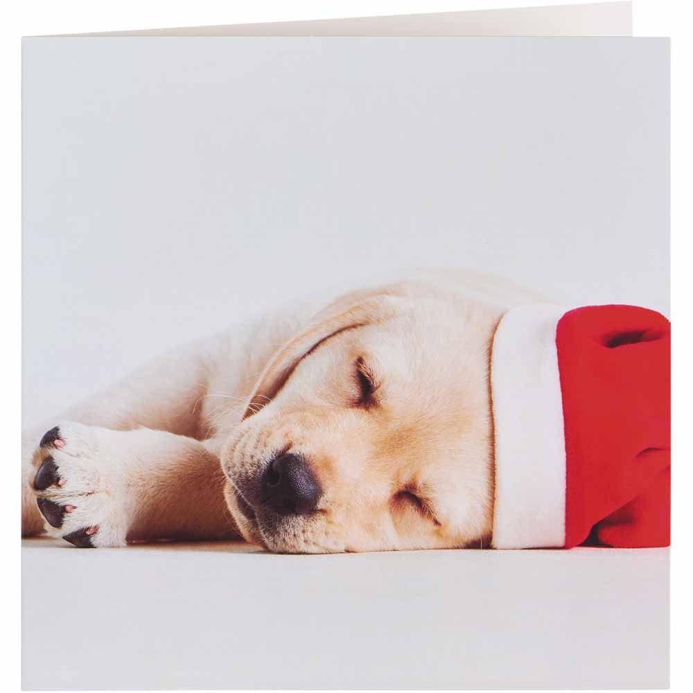 Wilko Puppies Christmas Cards 15 Pack Image 2