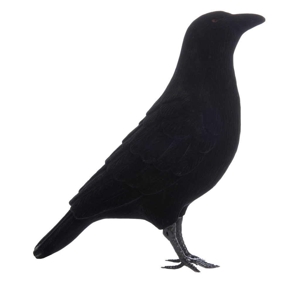 Wilko Halloween Flocking Raven Image 1