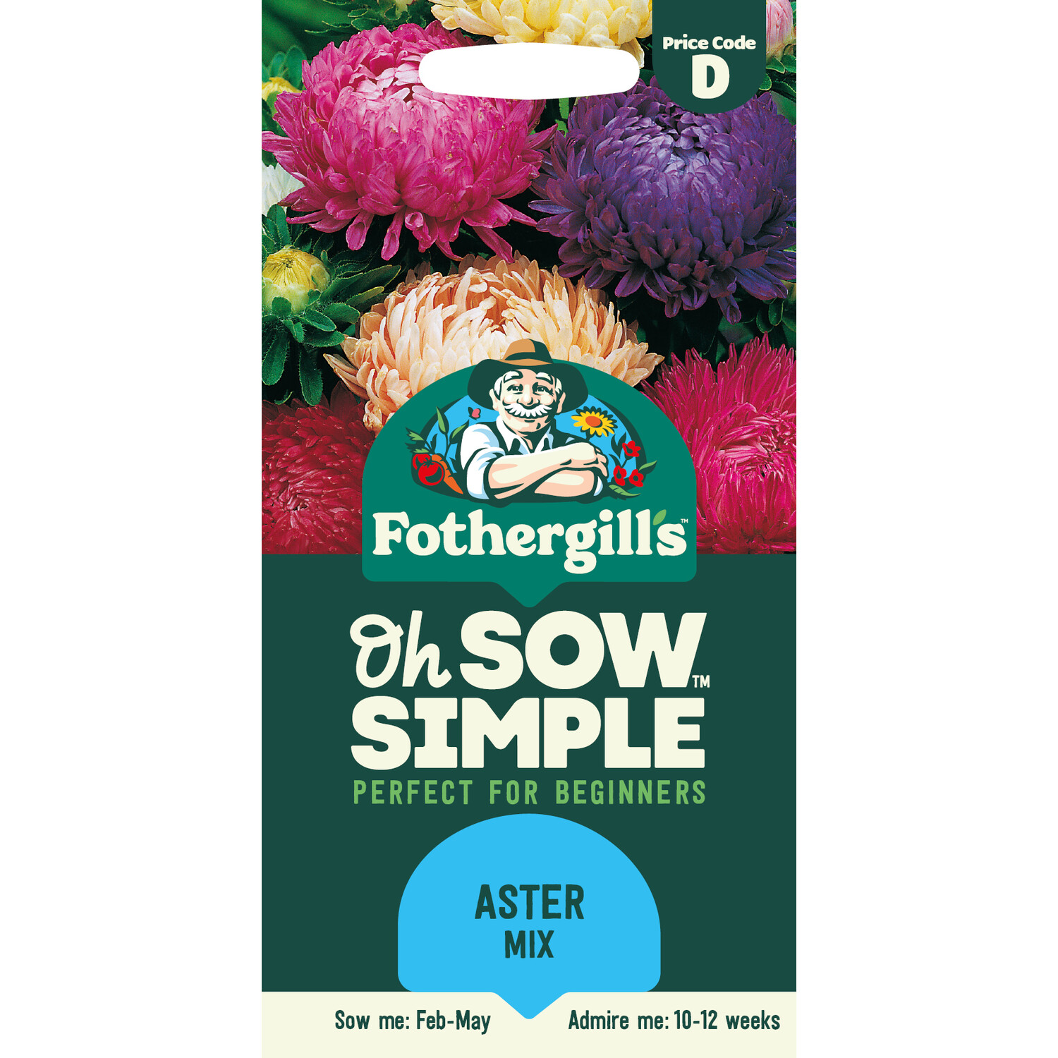 Aster Mix Seeds Image 1