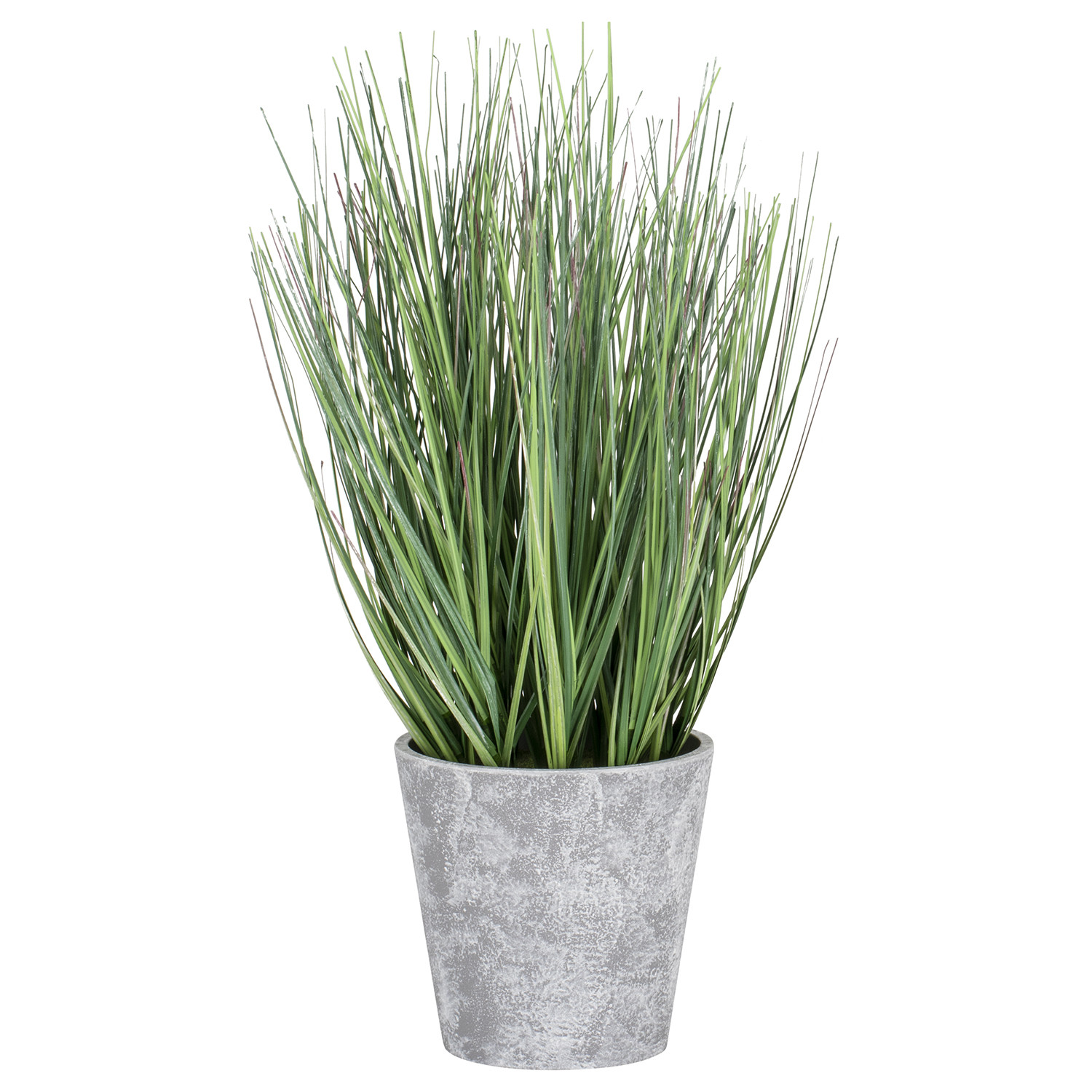 Onion Grass Artificial Plant in Pot Image