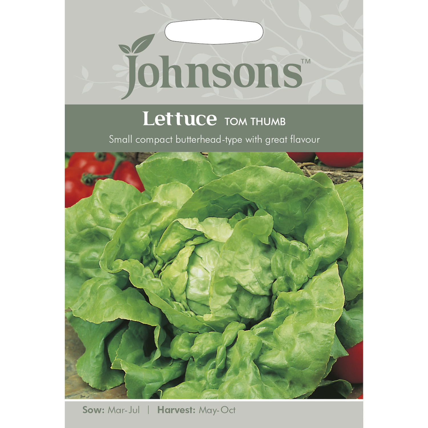 Johnsons Tom Thumb Lettuce Seeds Image 2