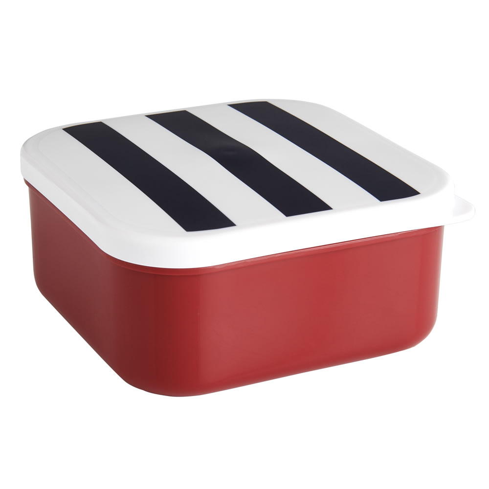 Wilko Picnic Fusion Storage Containers Assorted Wilko