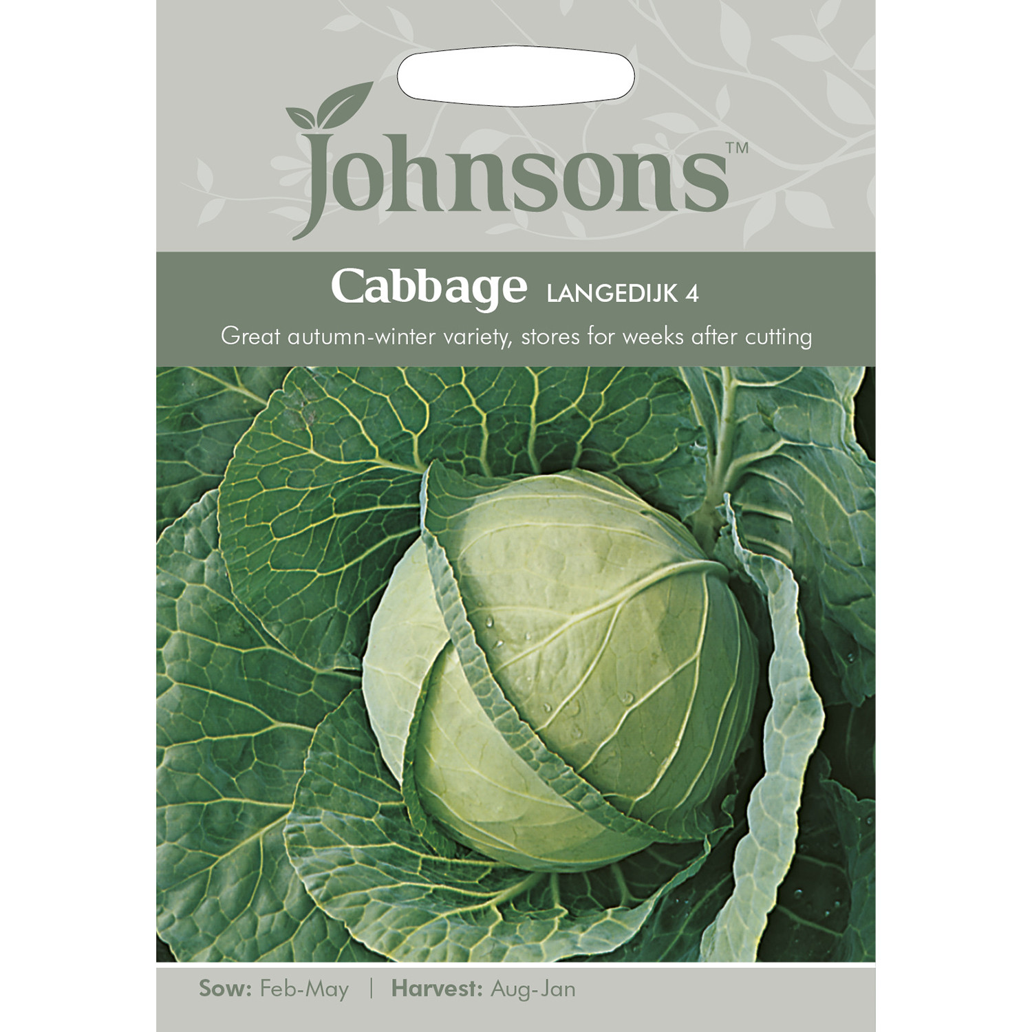 Johnsons Langedijk 4 Cabbage Seeds Image 2