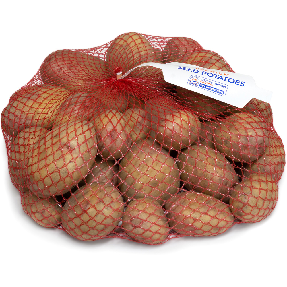 wilko King Edward Seed Potato Tubers Maincrop 2.5kg Image 2