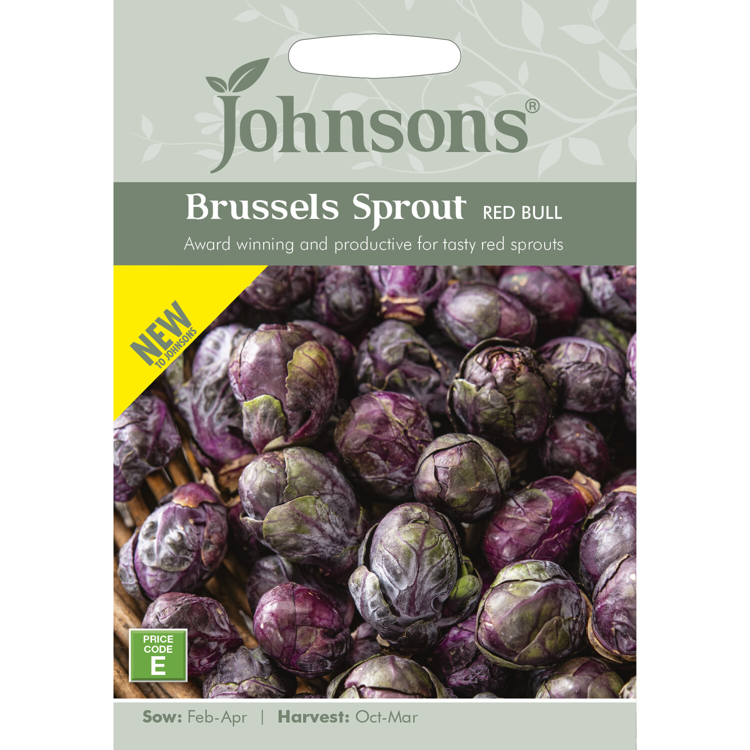 Johnsons Brussels Sprout Red Bull Seeds - Purple Image 1