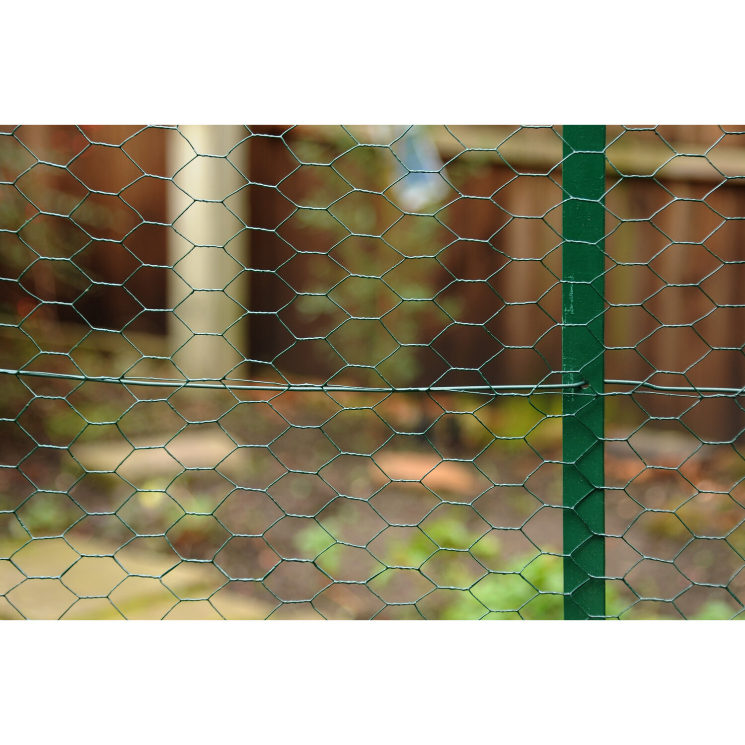 Apollo Gardening PVC Coated Galvanised Wire Netting 25cm x 10m Image 3