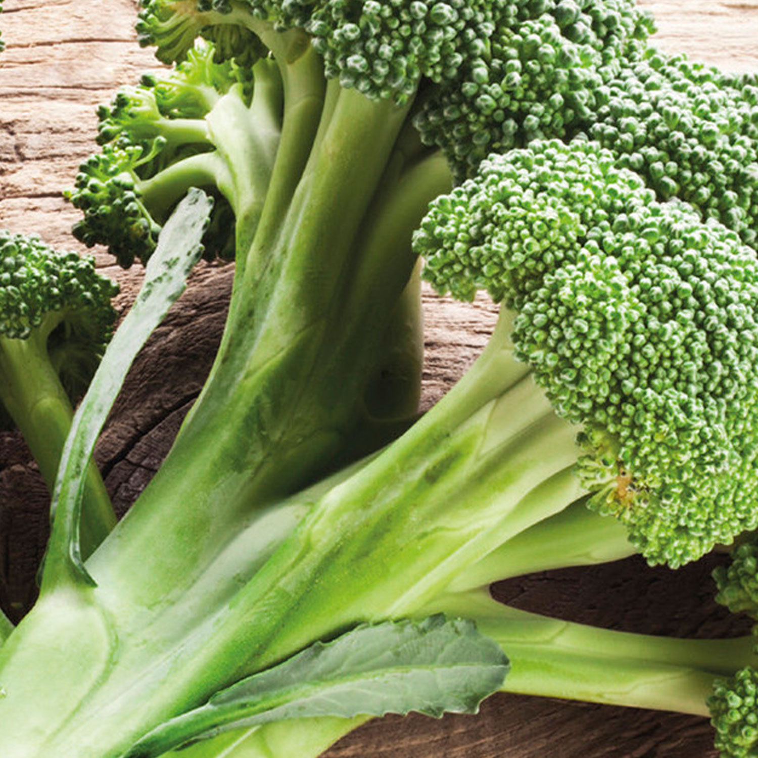 Johnsons Organic Ramoso Calabrese Broccoli Seeds Image 1