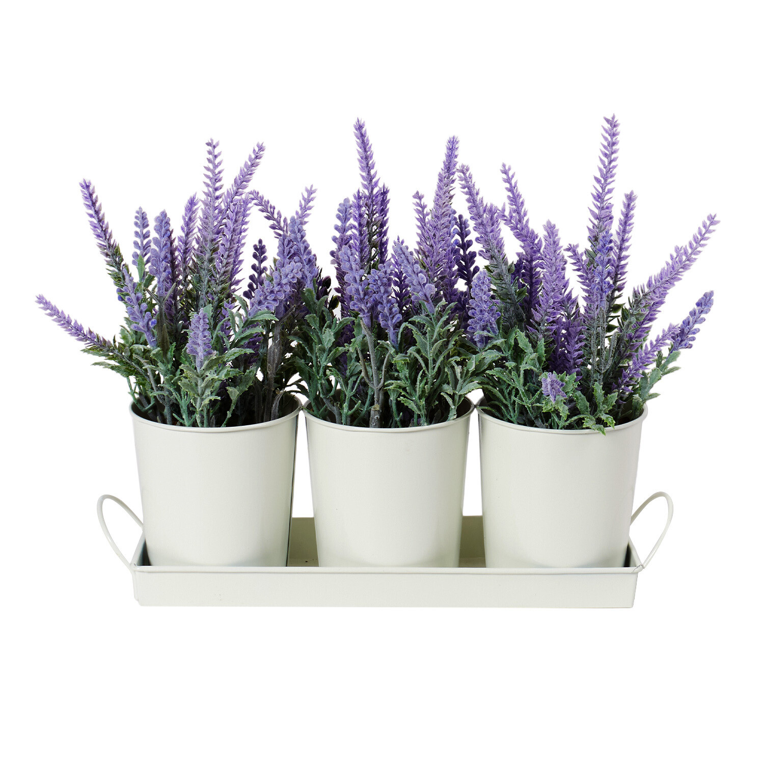 Trio of Lavender in Tray - Purple Image 1