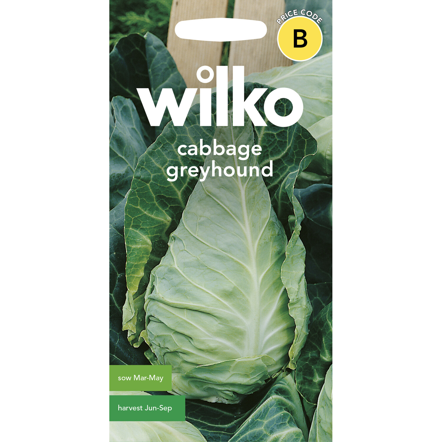 Wilko Cabbage Greyhound Seeds Image 1