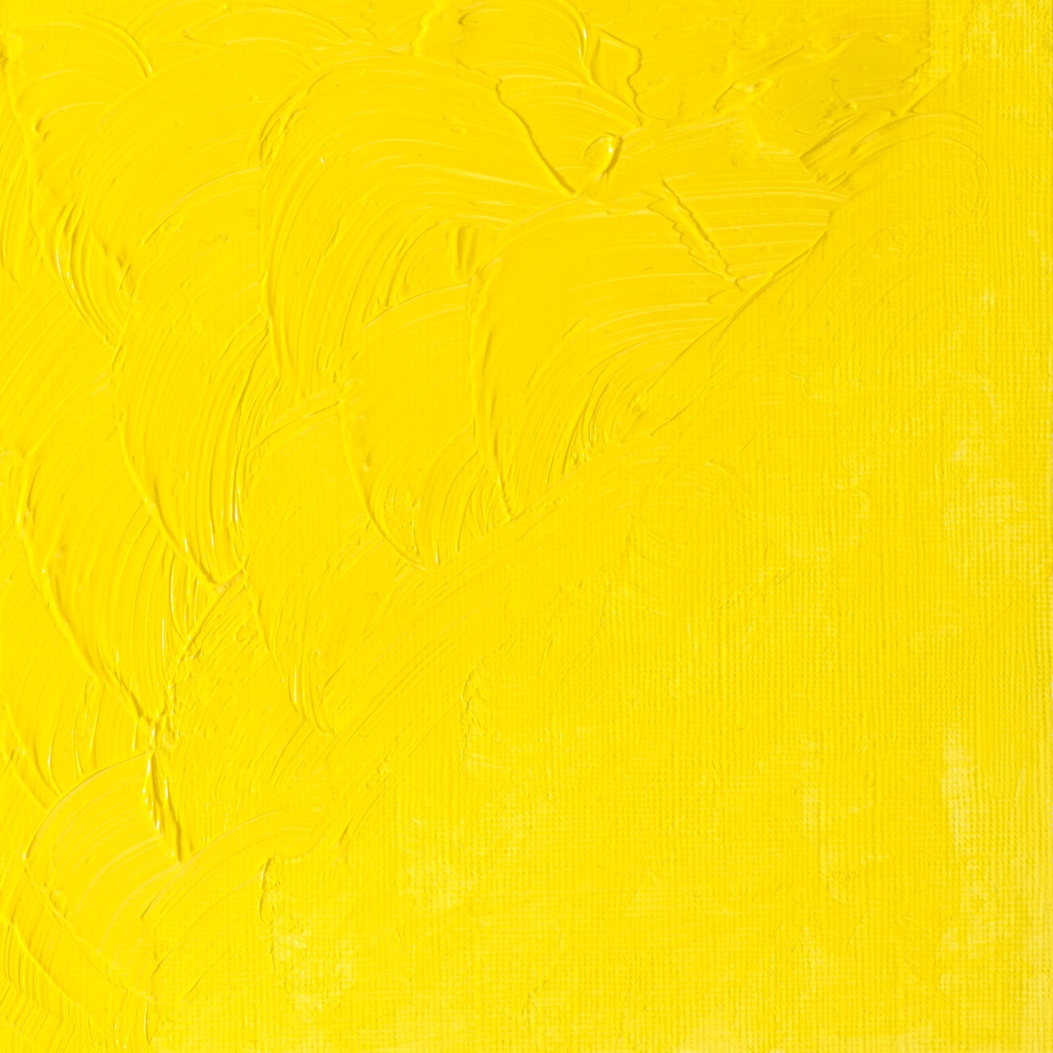 Winsor and Newton 37ml Winton Oil Colours - Lemon hue Image 2