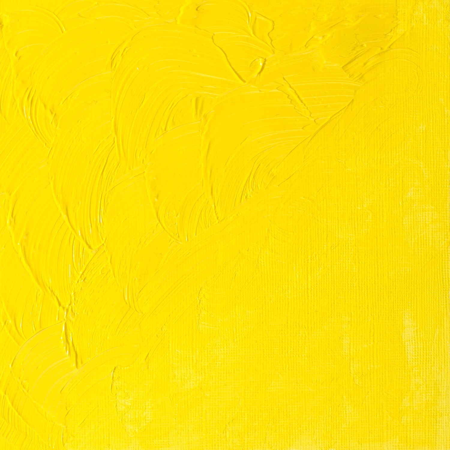 Winsor and Newton 200ml Winton Oil Colours - Cadmium Lemon Hue Image 2
