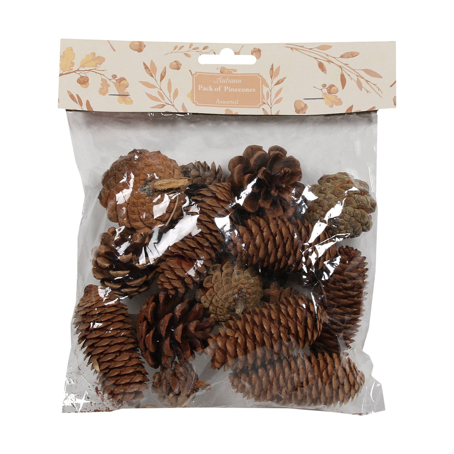 Pack of Assorted Pinecones Image