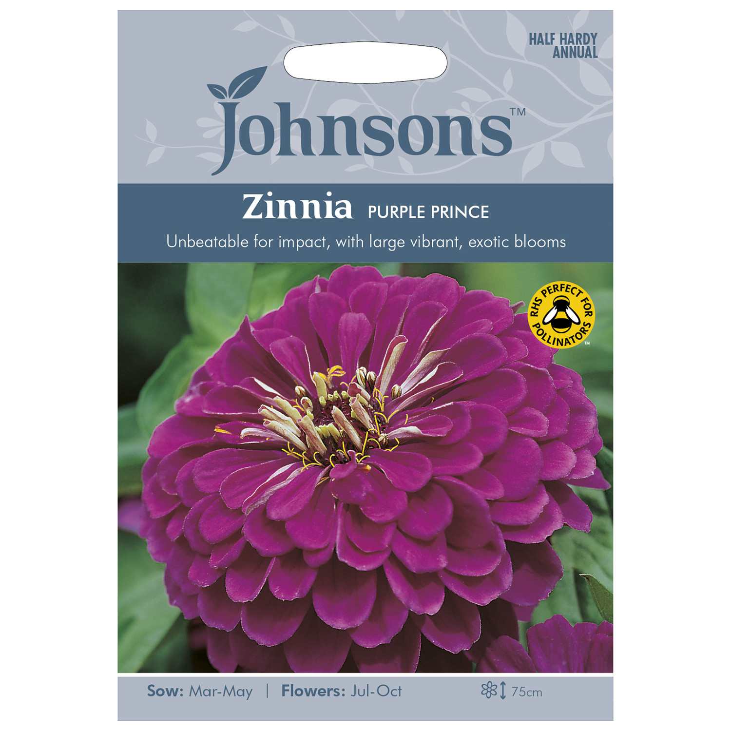 Pack of Purple Prince Zinnia Flower Seeds Image