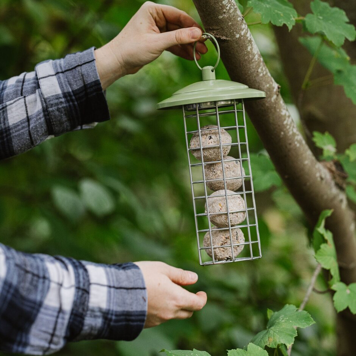 Peckish Canto Energy Ball Feeder Image 3