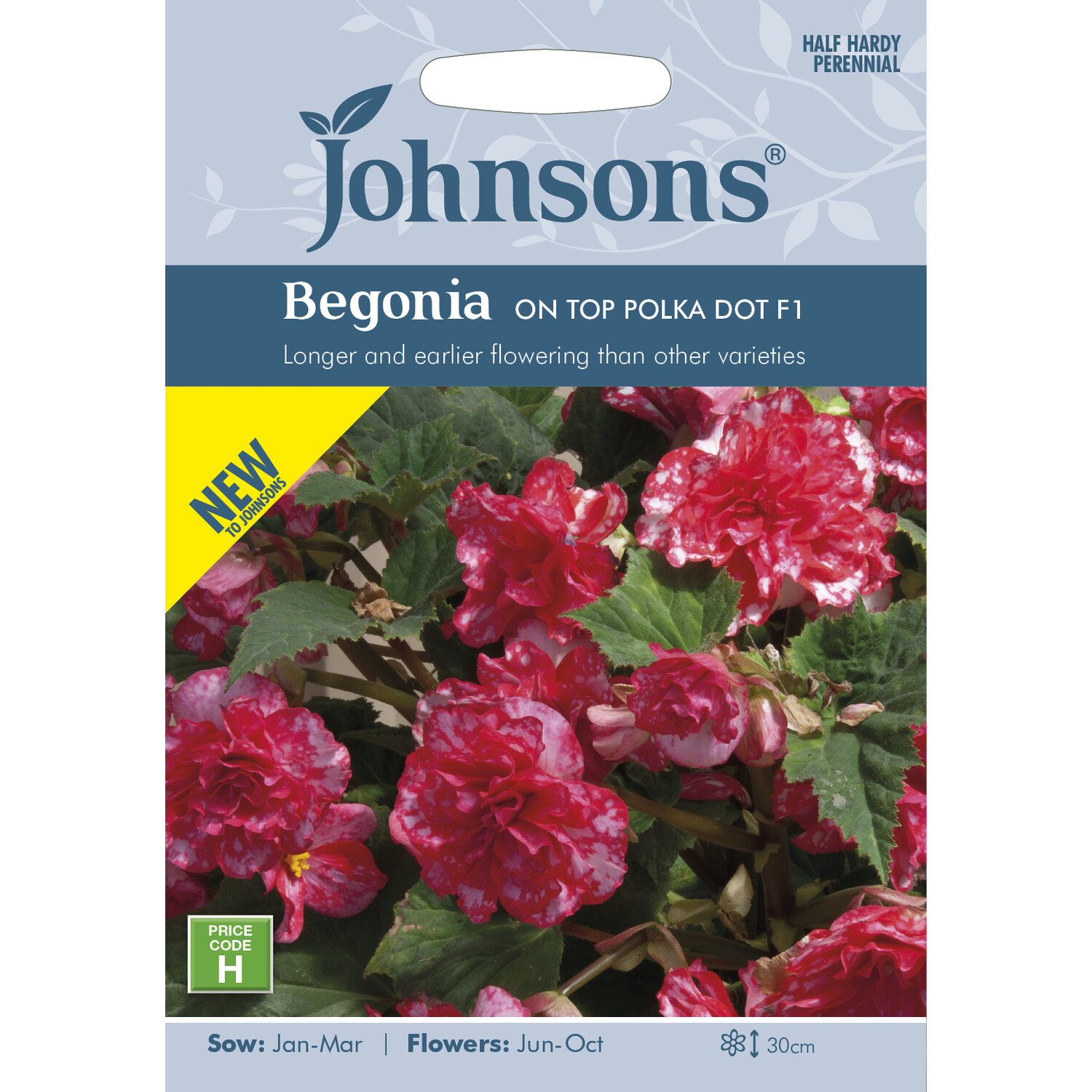 Johnsons Begonia On Top Polka Dot F1 Seeds - Coral Pink and Red Image 1