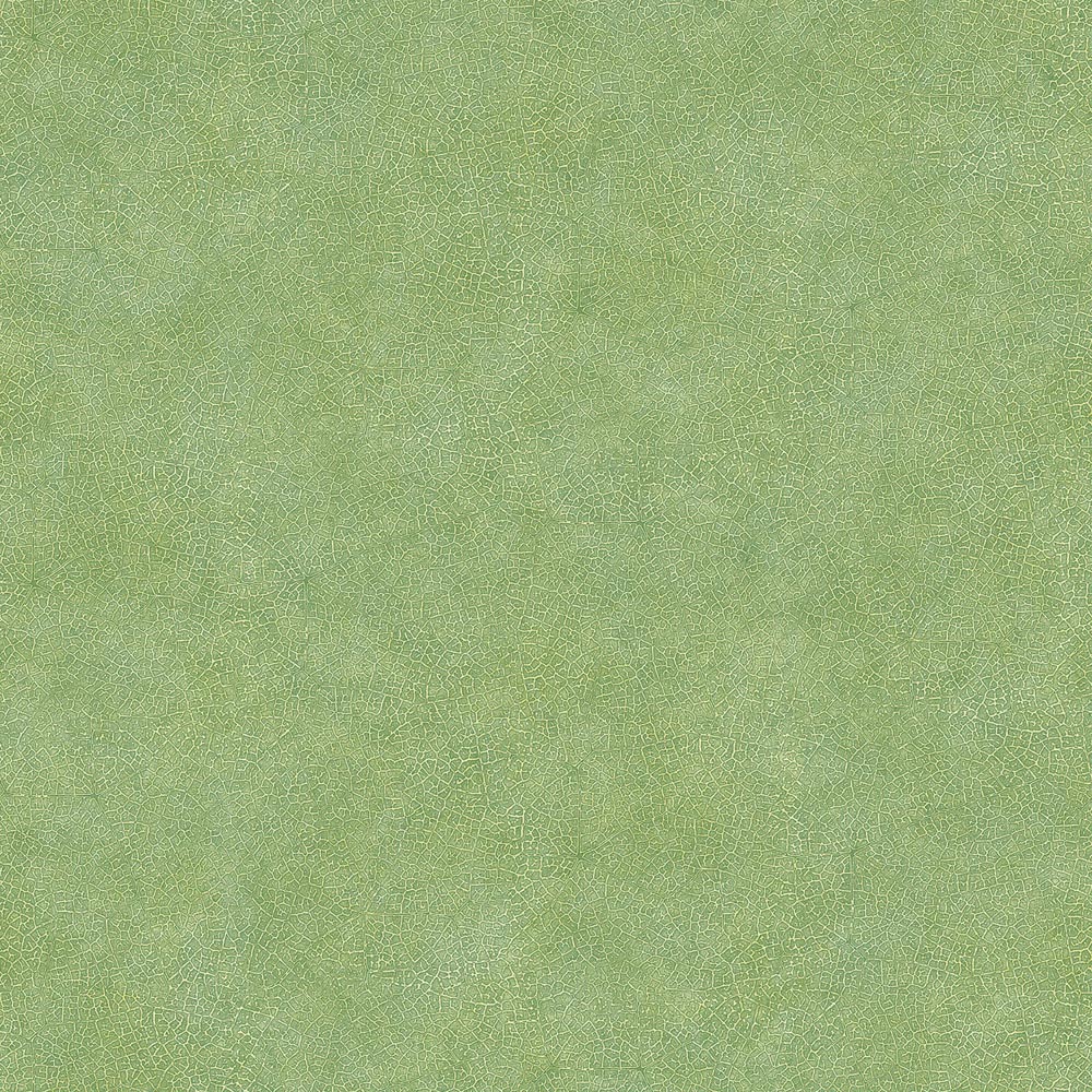 Galerie Evergreen Textured Green Wallpaper Image 1