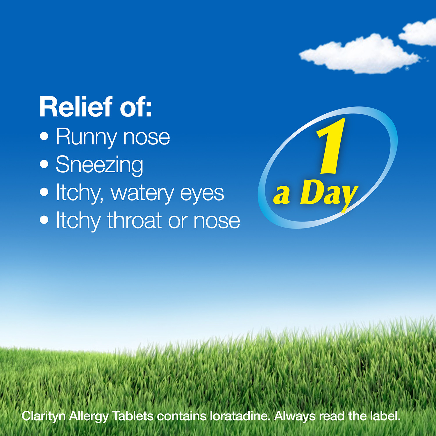 Clarityn 10mg Allergy Tablets Image 3