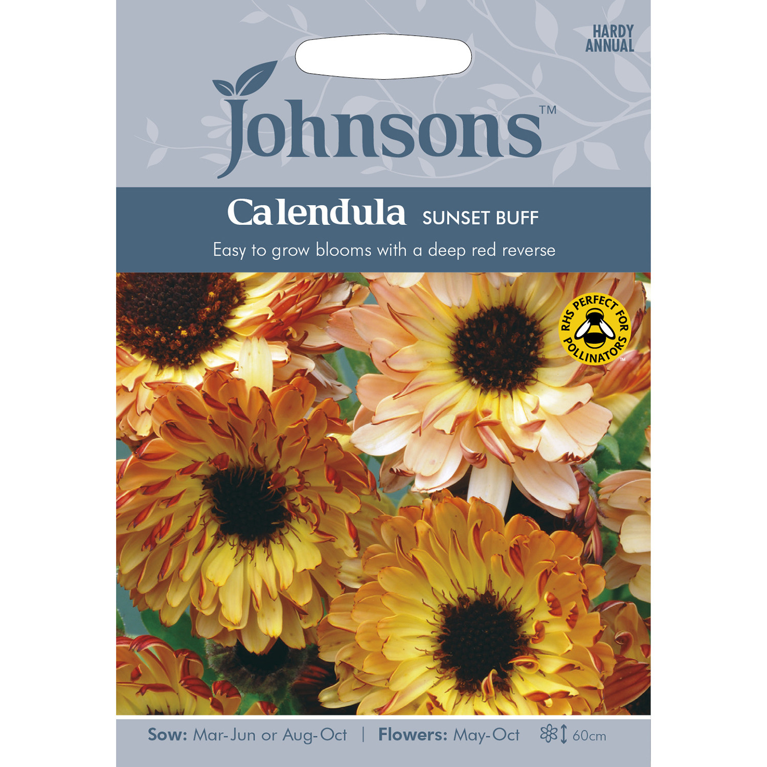 Johnsons Calendula Sunset Buff Flower Seeds Image 2