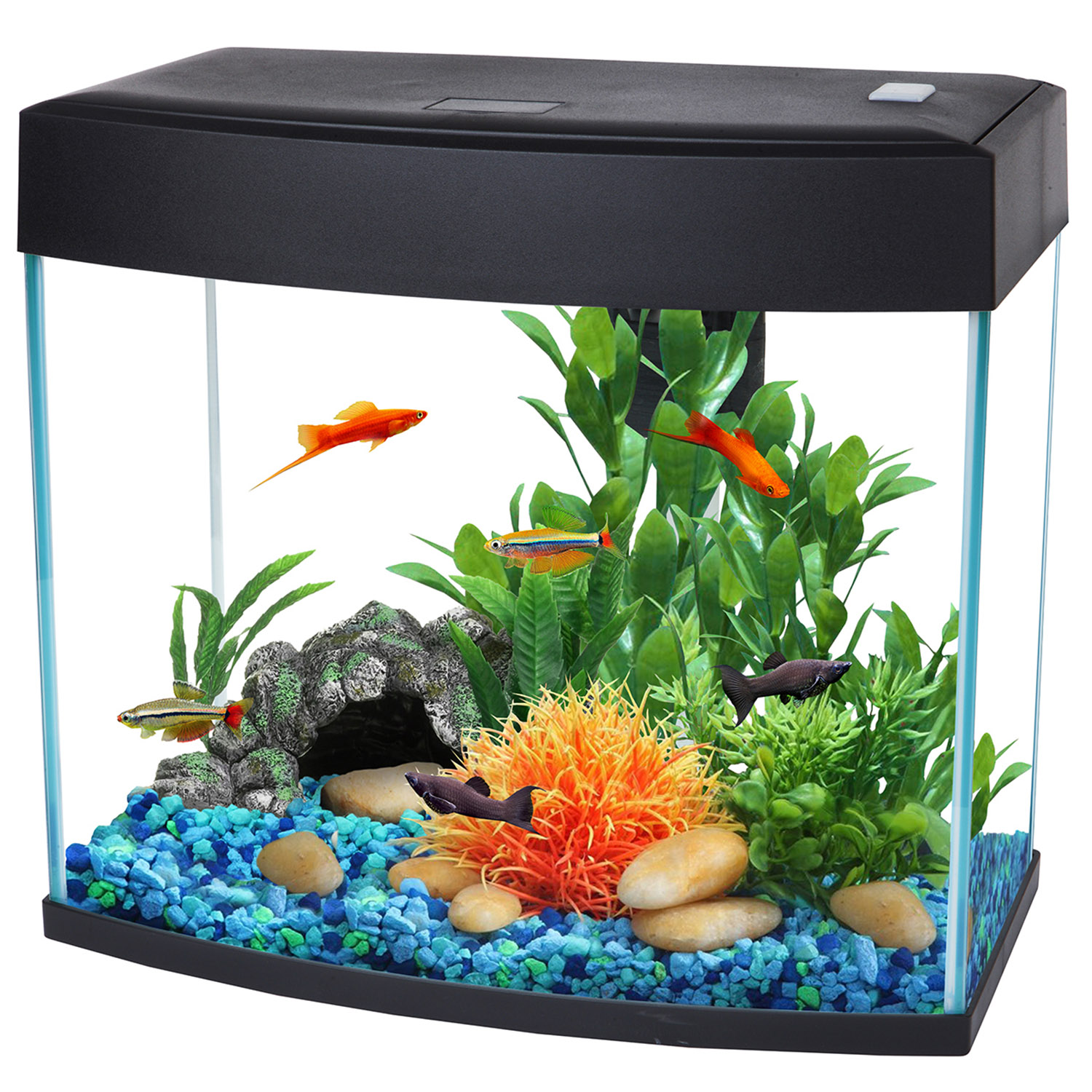Fish R Fun Black LED Starter Fish Tank 14L Image
