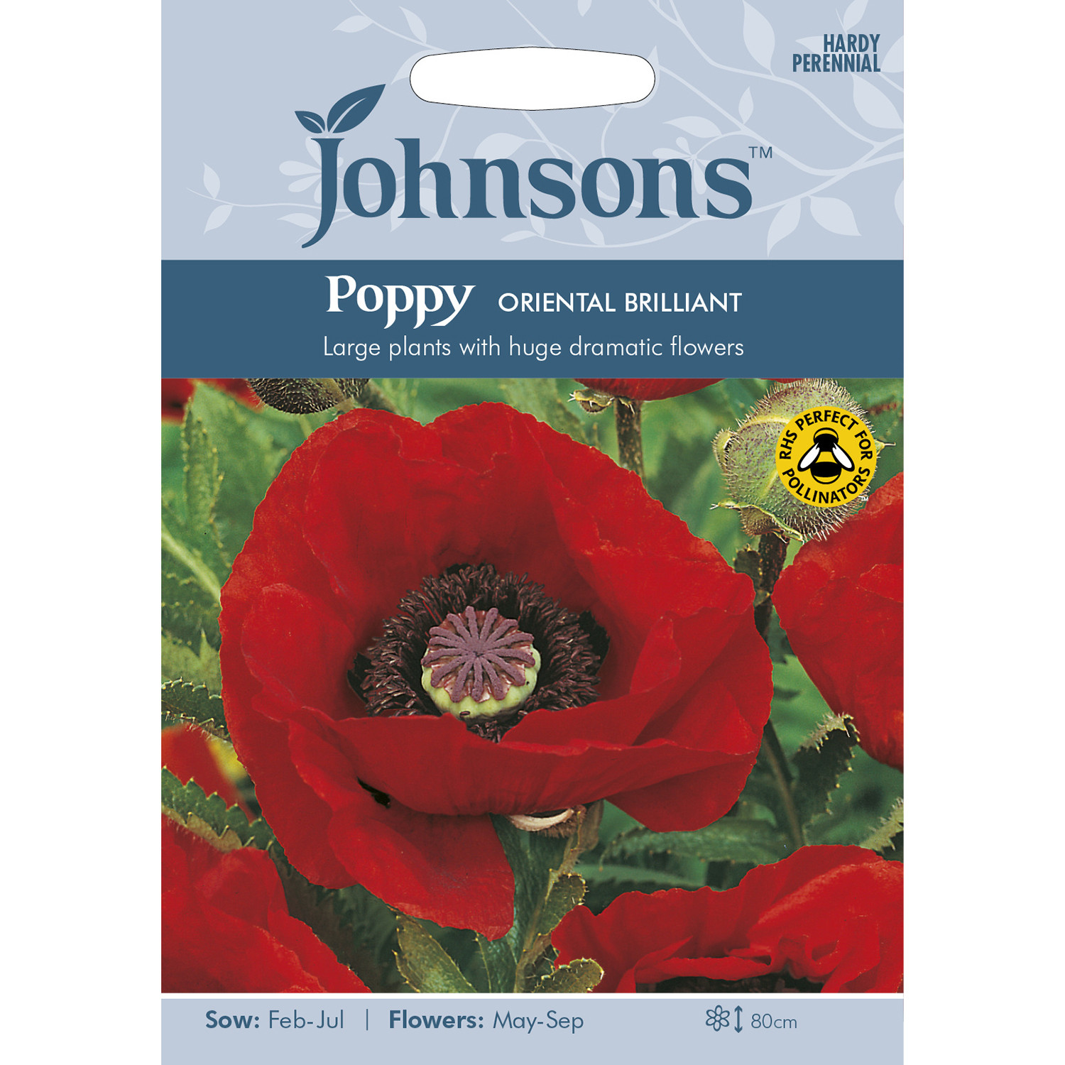 Johnsons Poppy Oriental Brilliant Flower Seeds Image 2