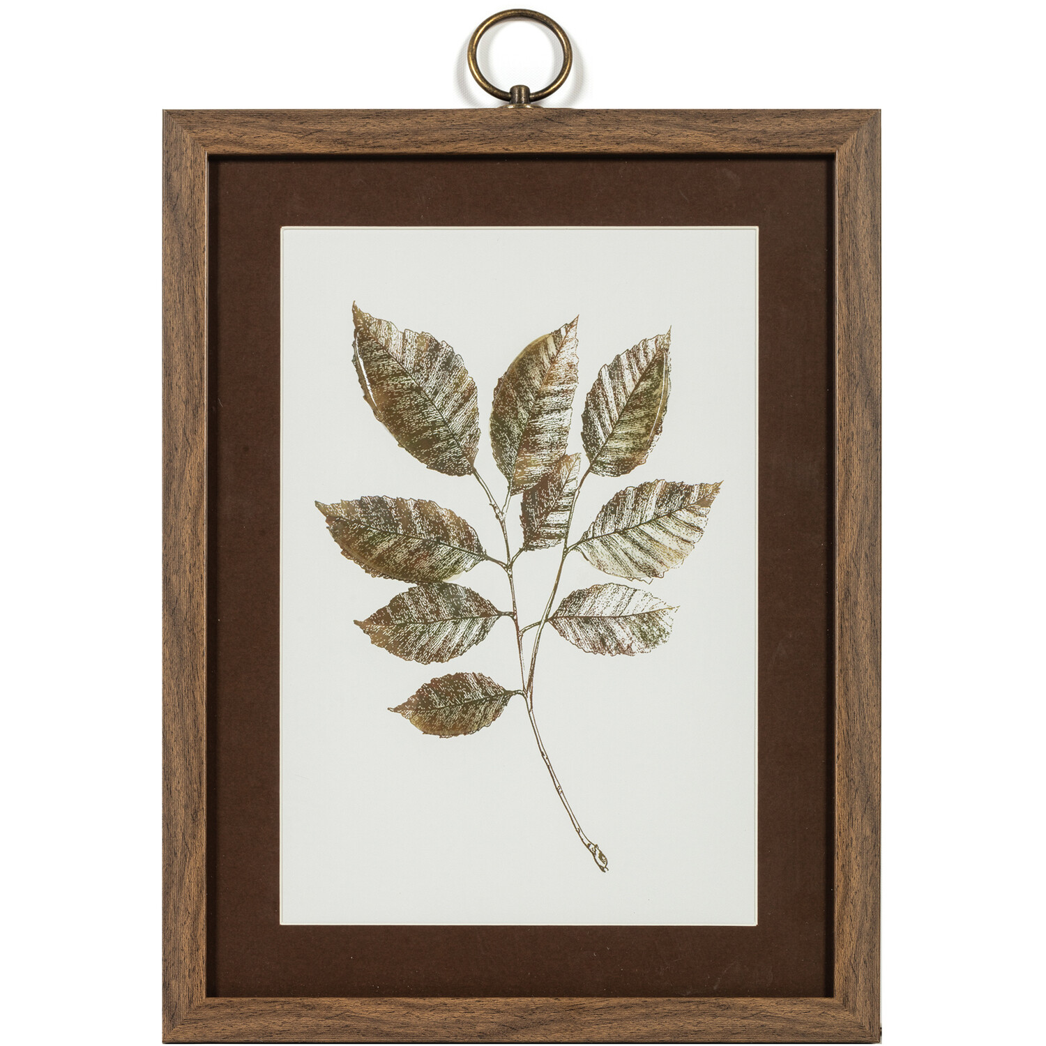 Fallen Leaf Dark Wood Framed Glass Art Image 2