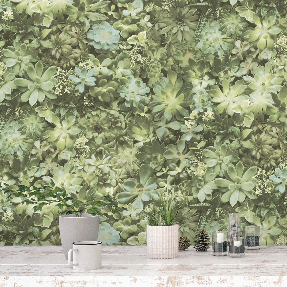 Galerie Evergreen Succulent Plant Green Wallpaper Image 2