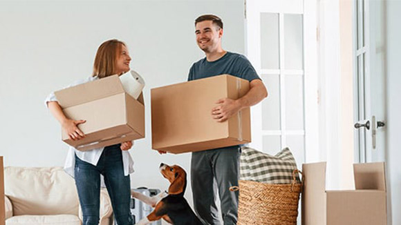 CDS helps customers protect everything from homes to pets with insurance launch