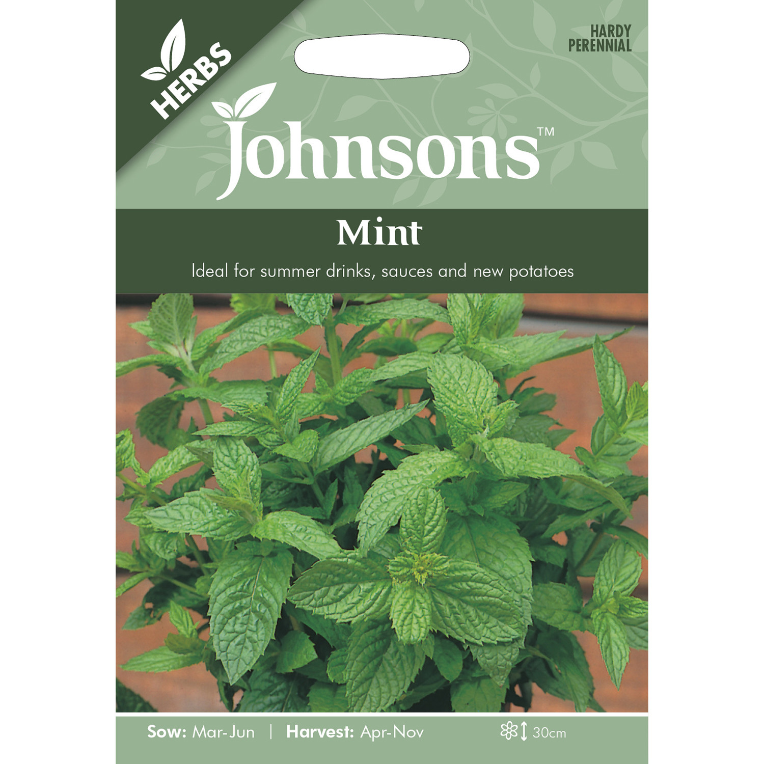 Johnsons Mint Herb Seeds Image 2