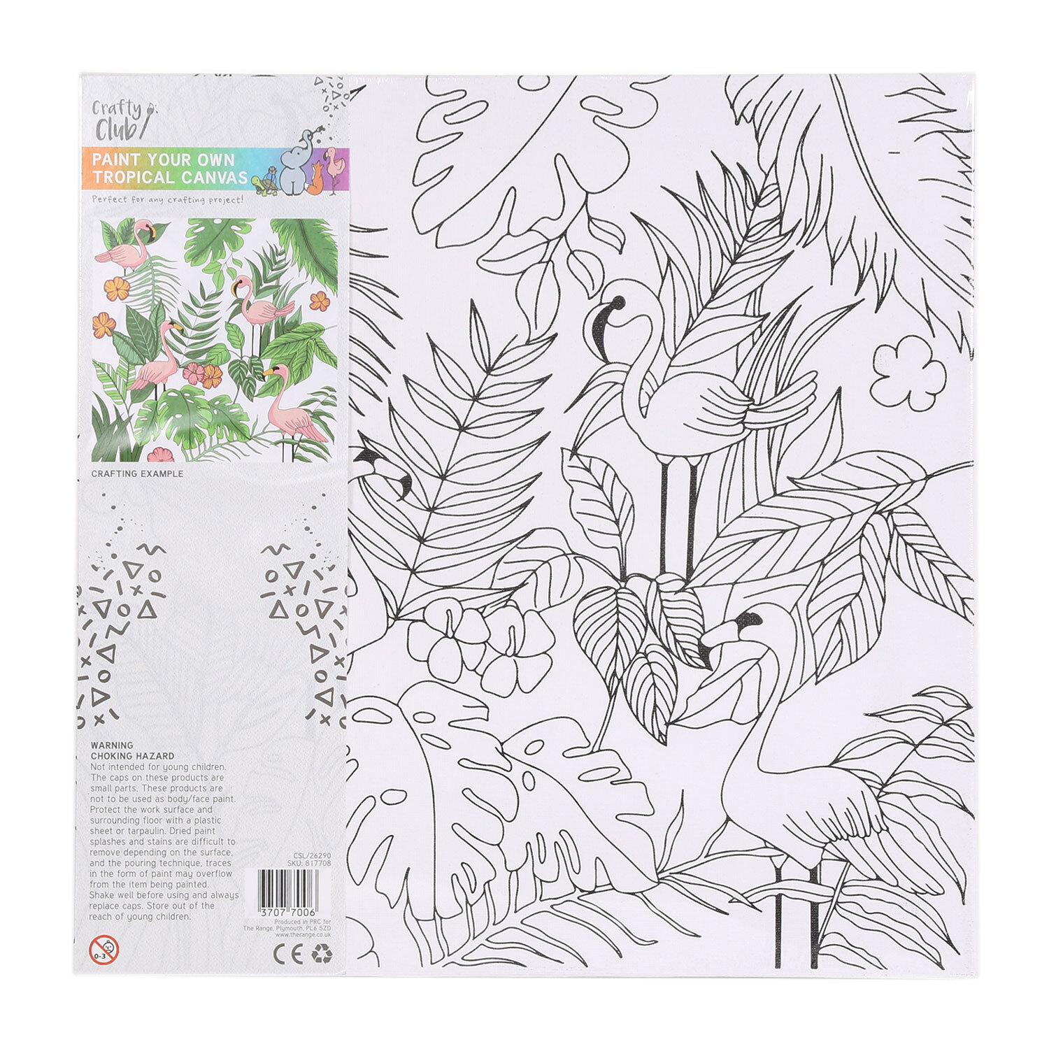 Crafty Club Paint Your Own Tropical Canvas Kit Image