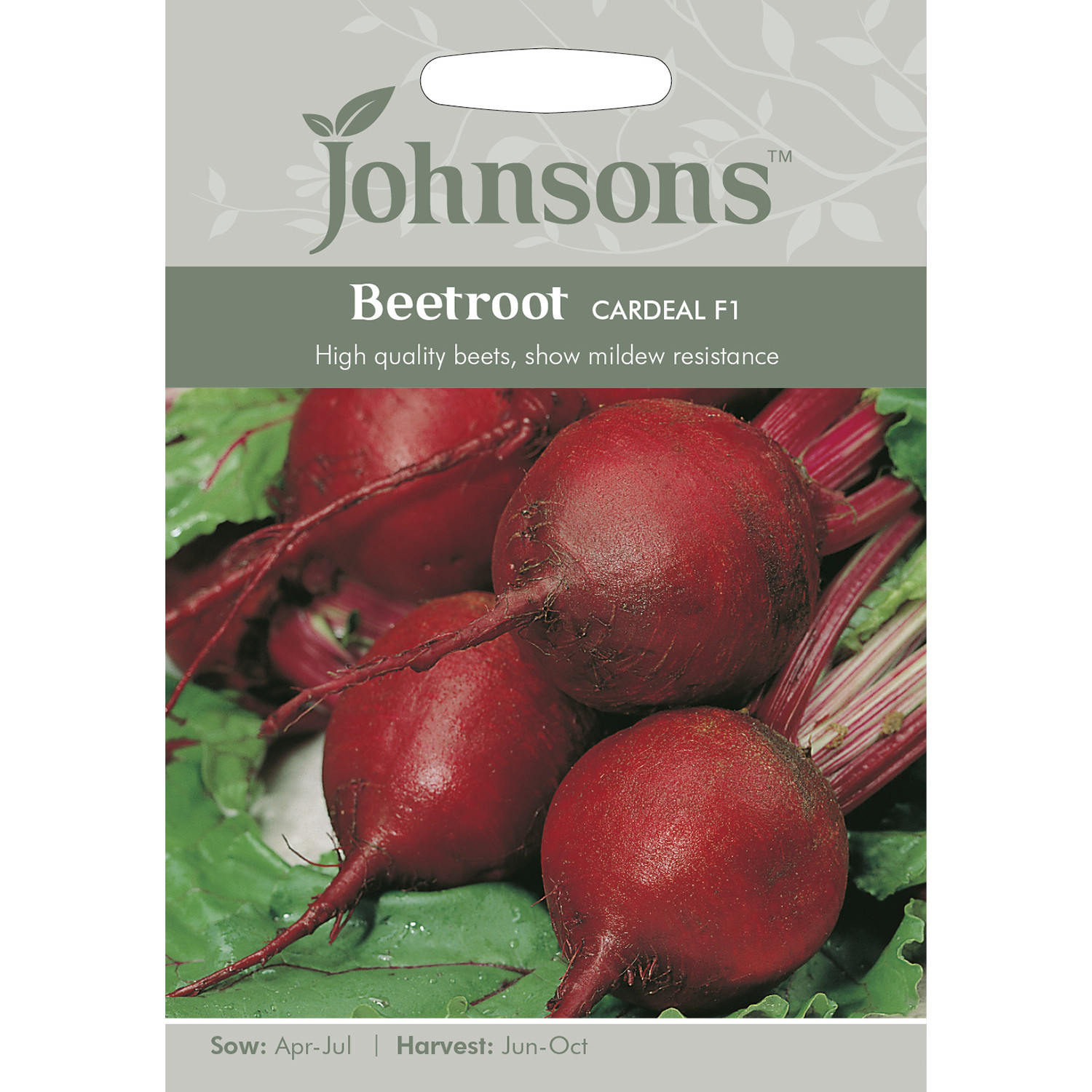 Johnsons Cardeal F1 Beetroot Seeds Image 2