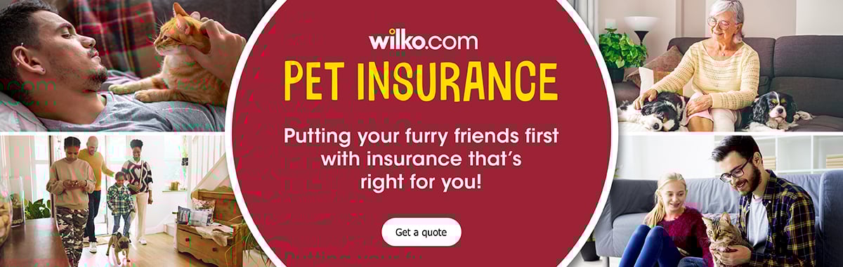wilko-pet_insurance-banners7.jpg