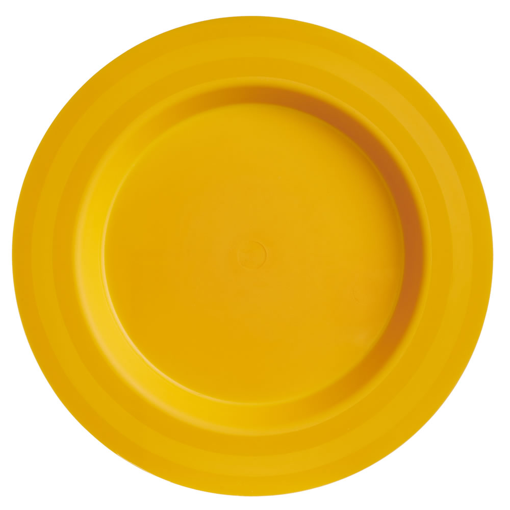 Wilko Picnic Plates 4pk Wilko