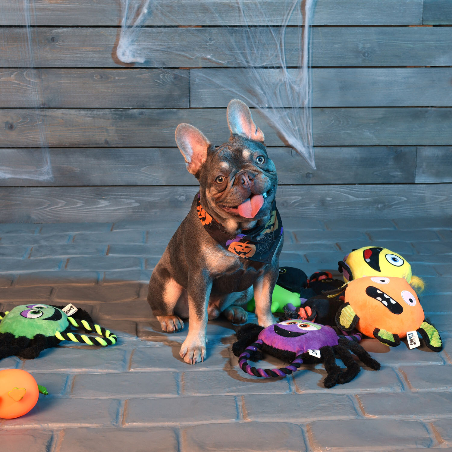Spooky Pet Bandana - Black Image 2