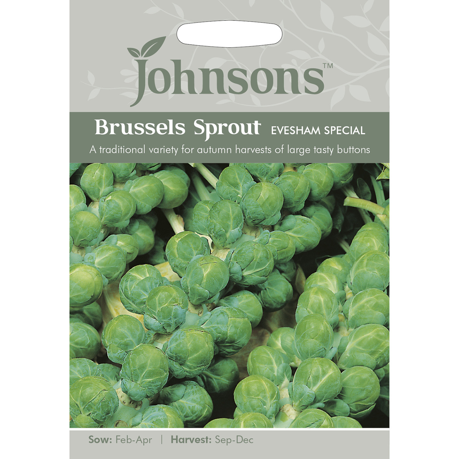Johnsons Evesham Special Brussels Sprout Seeds Image 2