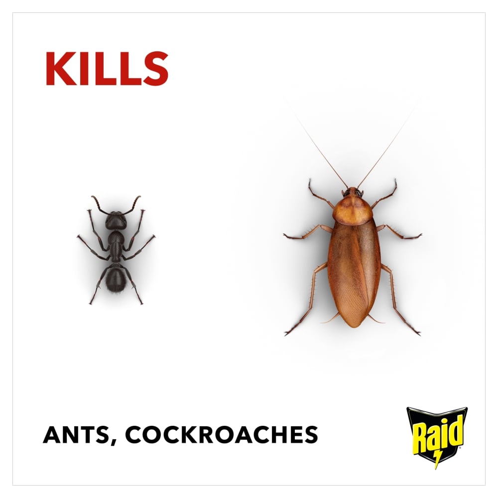 Raid Ant and Cockroach Insect Killer 300ml Image 3