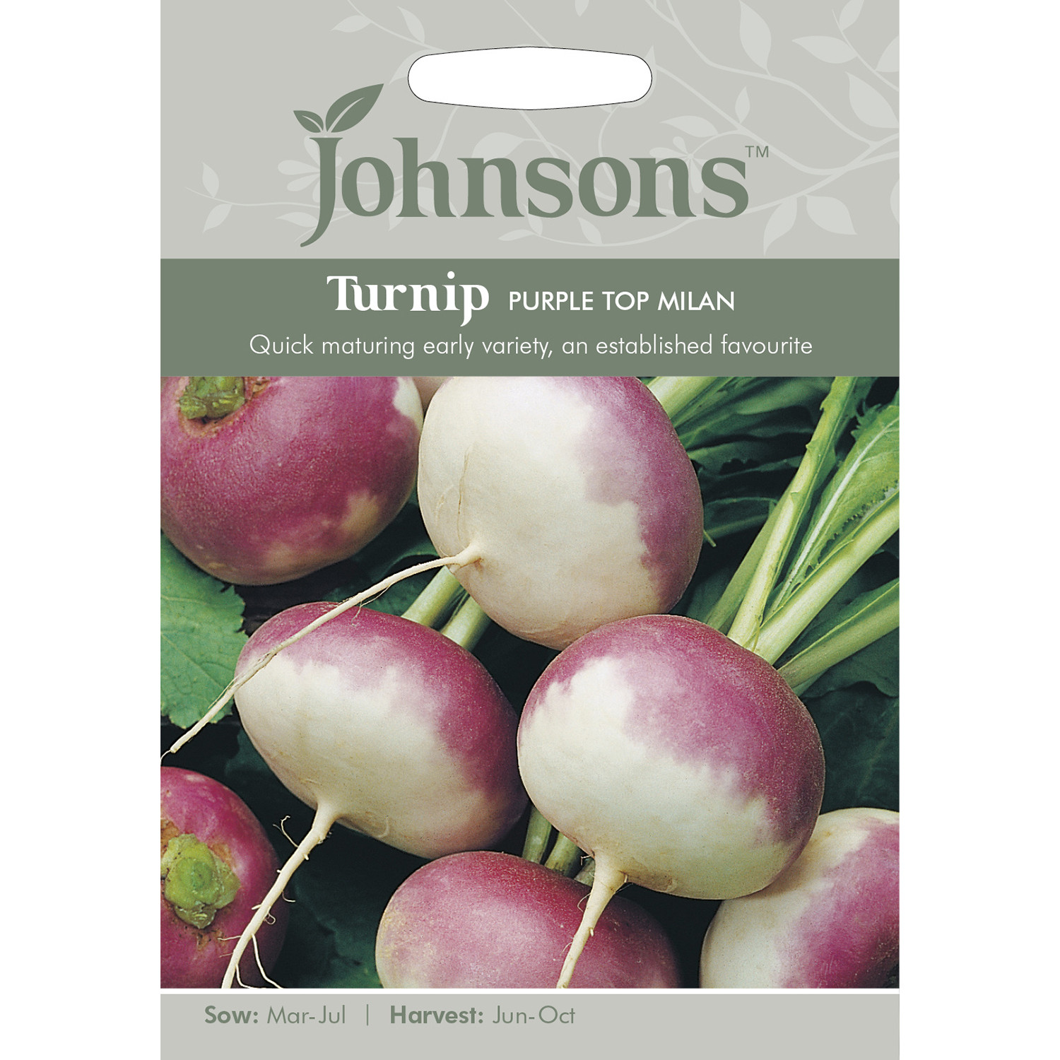 Johnsons Purple Top Milan Turnip Seeds Image 2