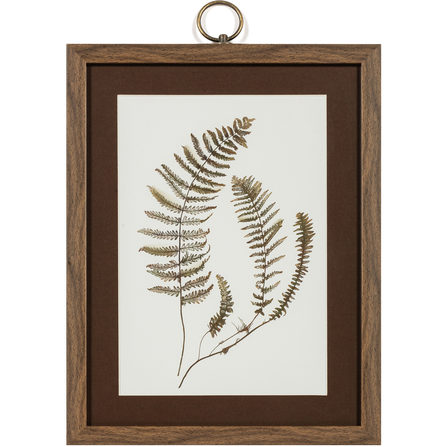 Fallen Leaf Dark Wood Framed Glass Art Image 6
