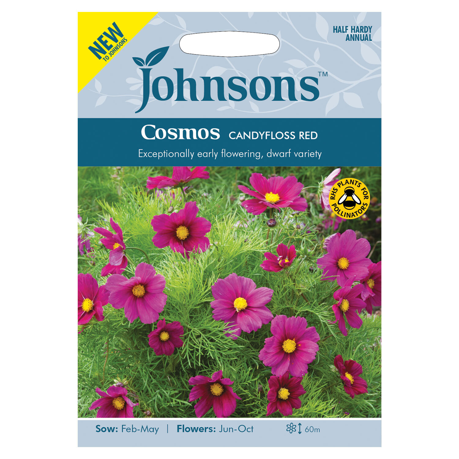 Johnsons Cosmos Candyfloss Red Flower Seeds Image 2