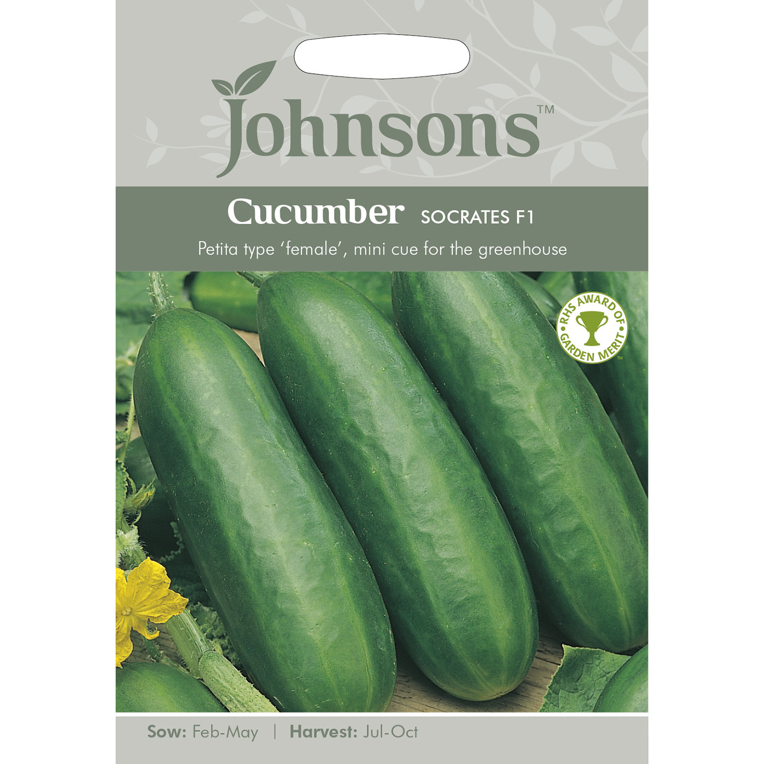 Johnsons Socrates F1 Cucumber Seeds Image 2