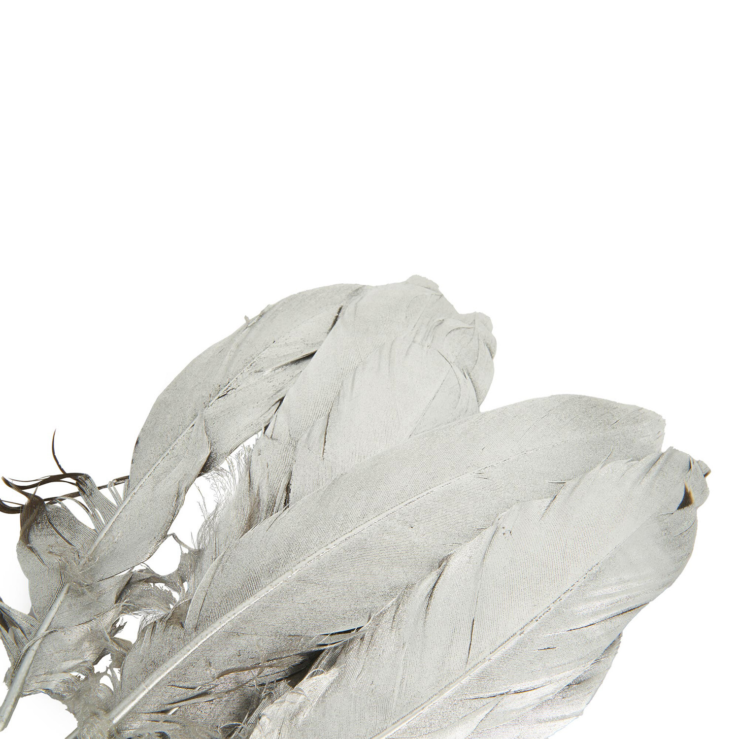 Pack of 6 True Moments Gold or Silver Feathers Image 6