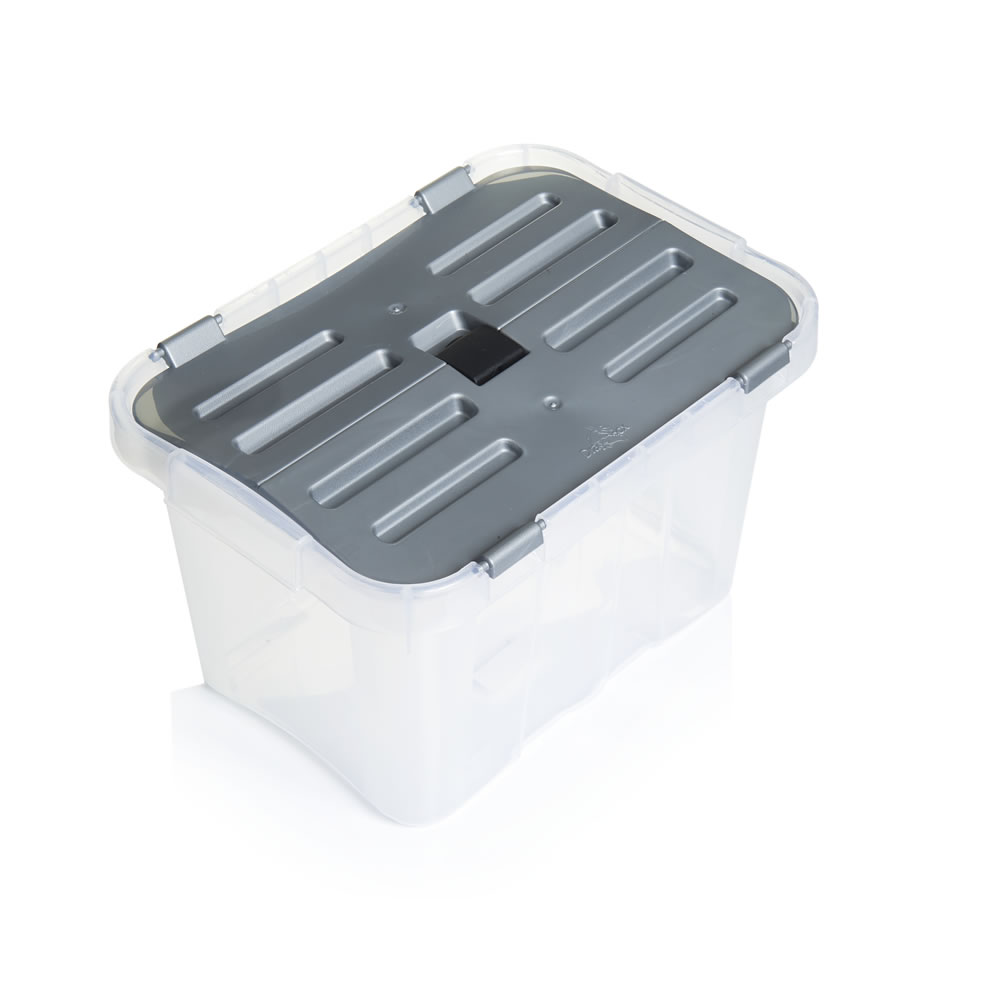 Heidrun Dragon 10L Storage Box Wilko