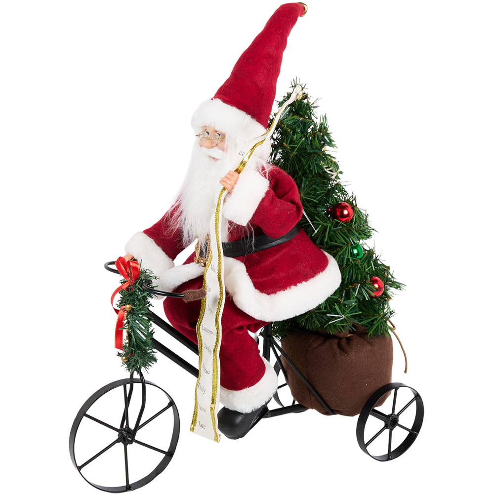 Santa on Tricycle Decoration Image 3