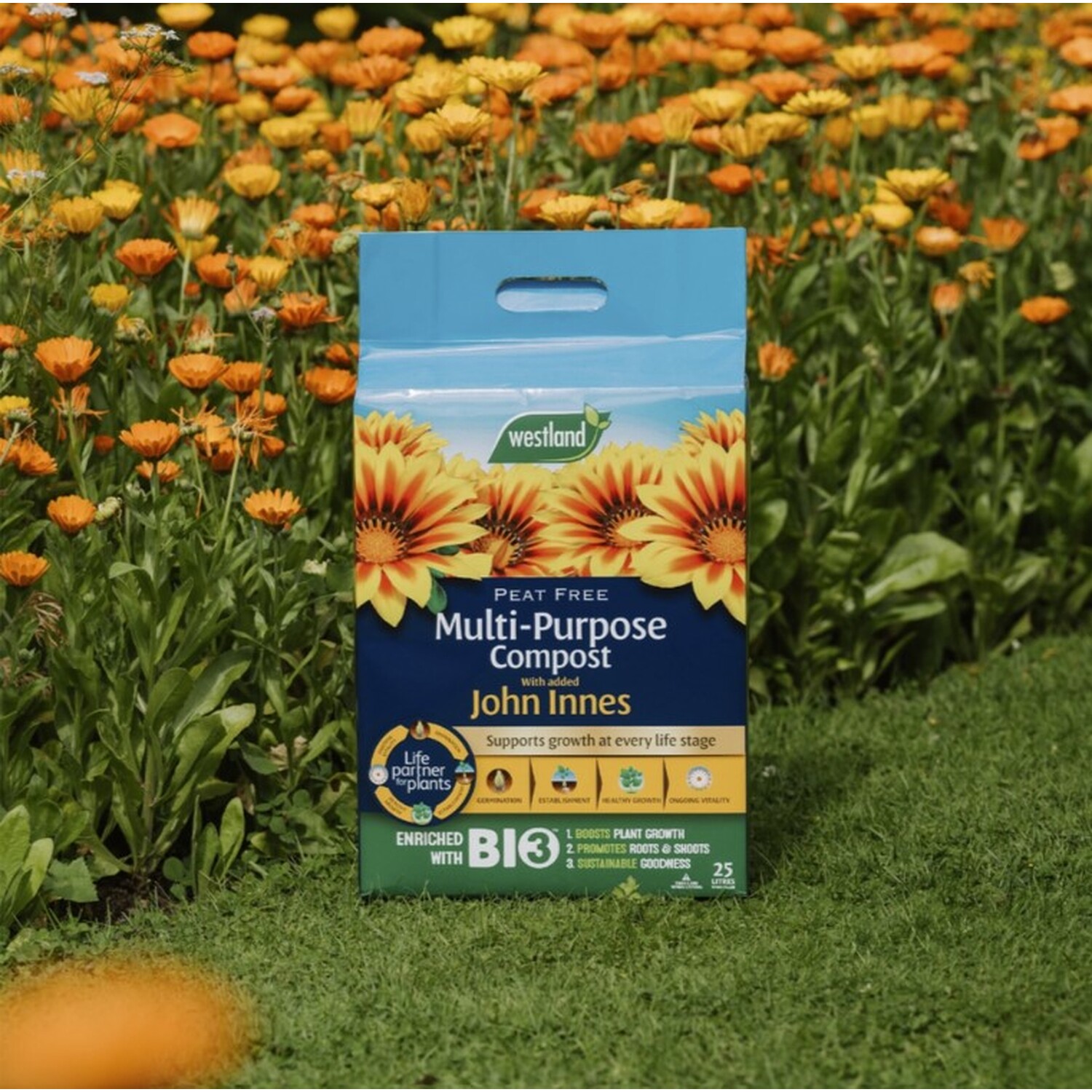Westland Multi-Purpose Compost with Added John Innes Image 1