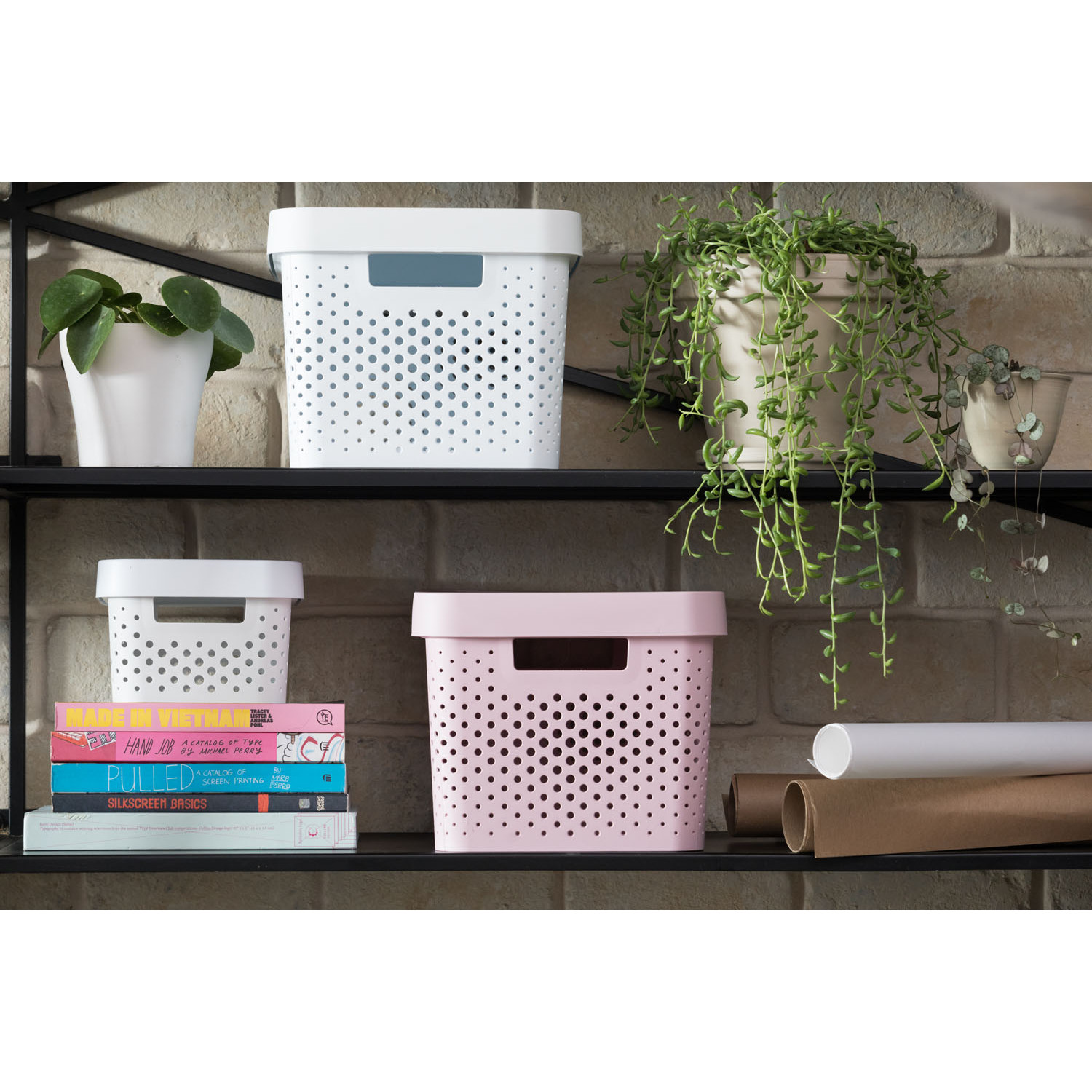 Curver 4.5L Pink Infinity Dots Storage Box Image 2