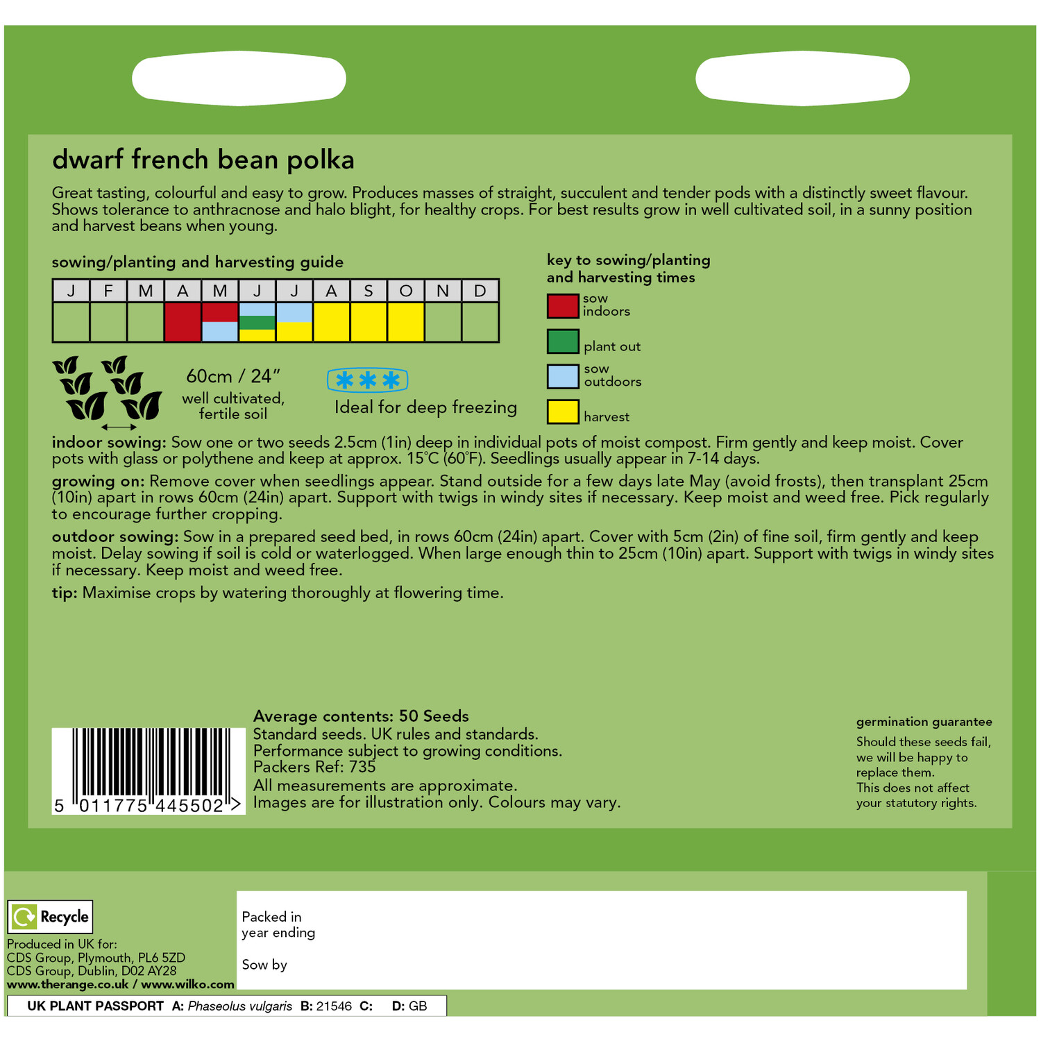 Wilko Dwarf French Bean Polka Seeds Image 2