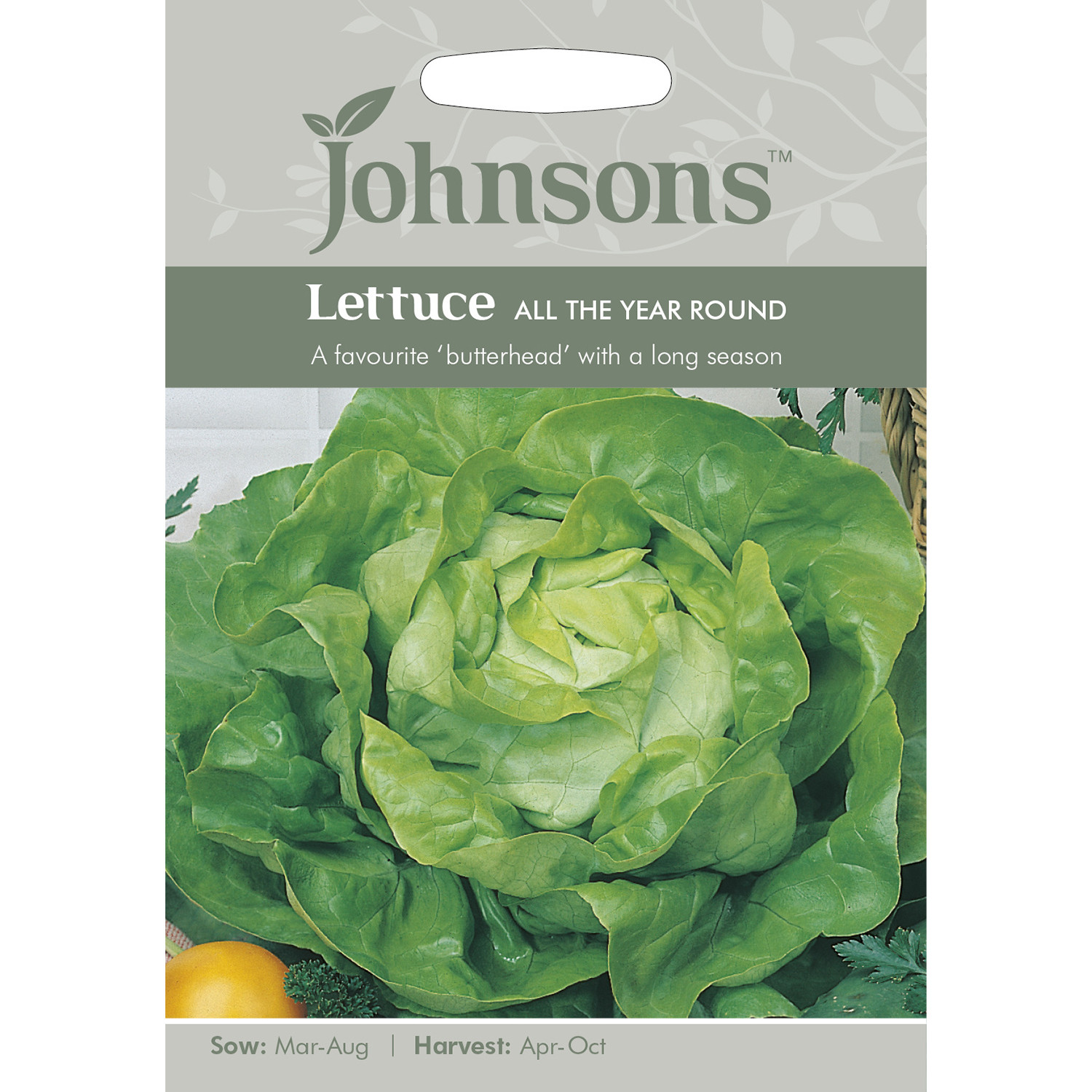 Johnsons All the Year Round Lettuce Seeds Image 2