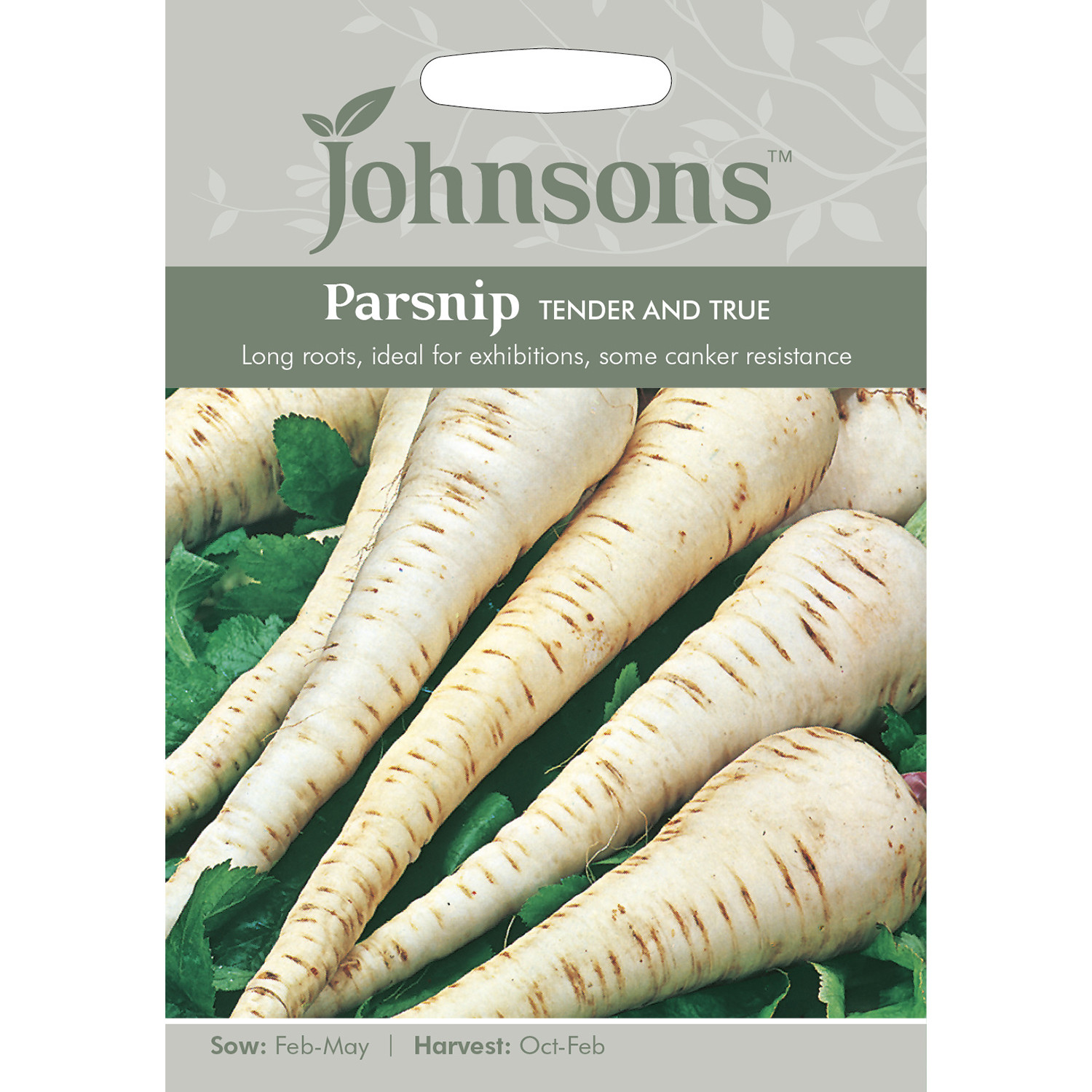Johnsons Tender And True Parsnip Seeds Image 2