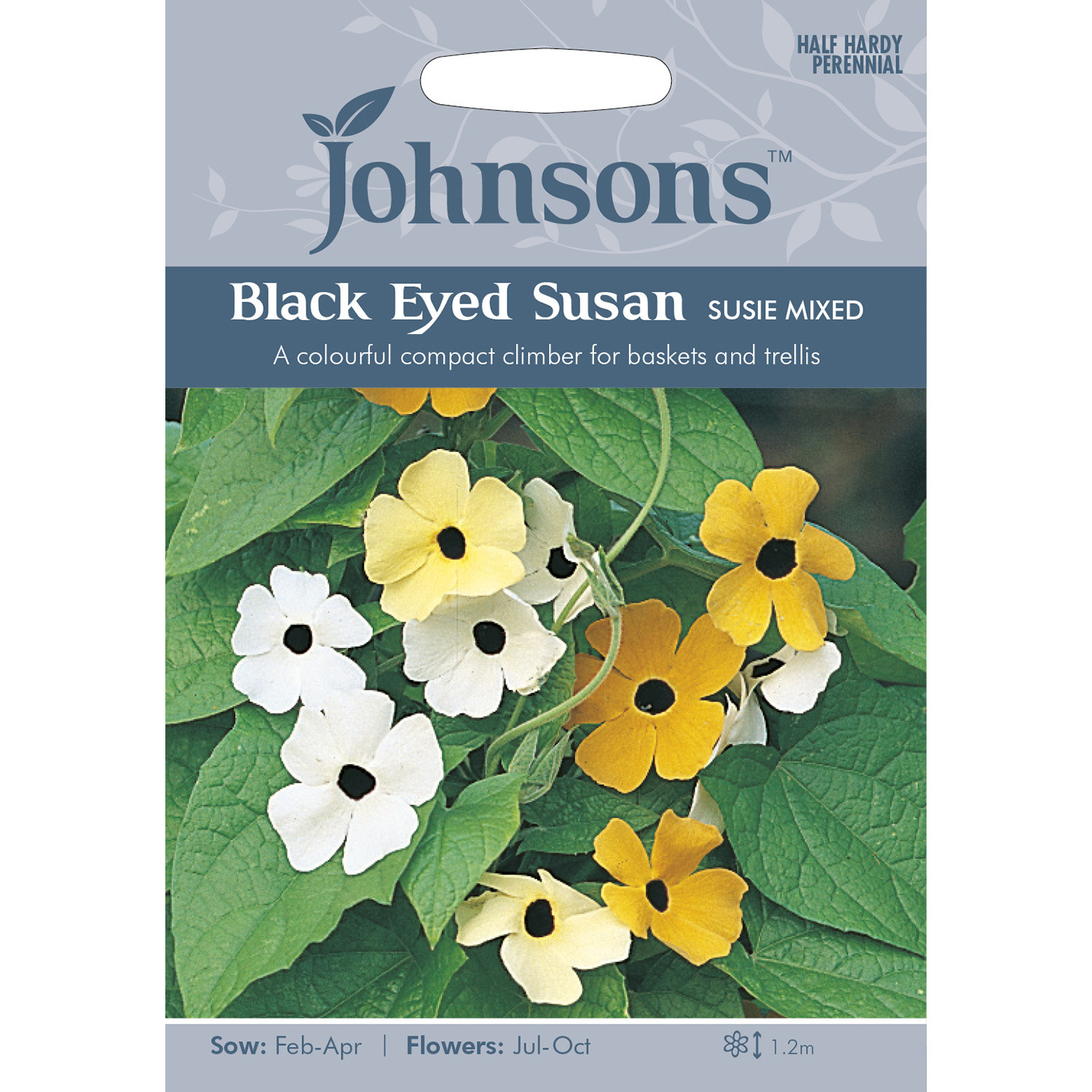 Johnsons Black Eyed Susan Susie Mixed Flower Seeds Image 2