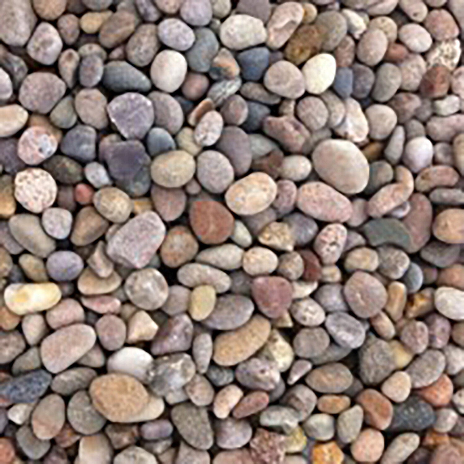 Scottish Cobble Pebbles Image 2